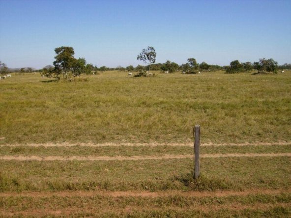 Excelente Fazenda Venda Em Cocalinho Mt Hectares